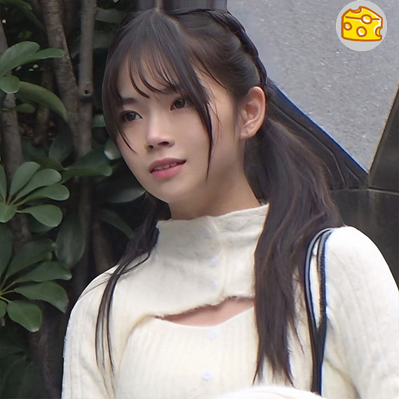 Mgsod024jp